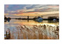 Card No 13 River Thurne